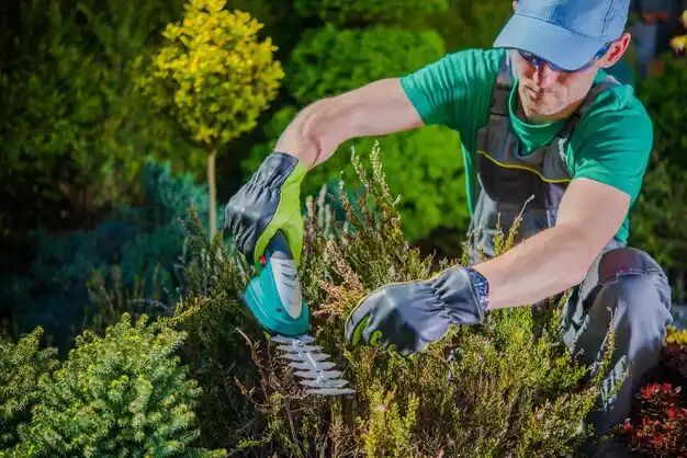 landscaping services Hopedale